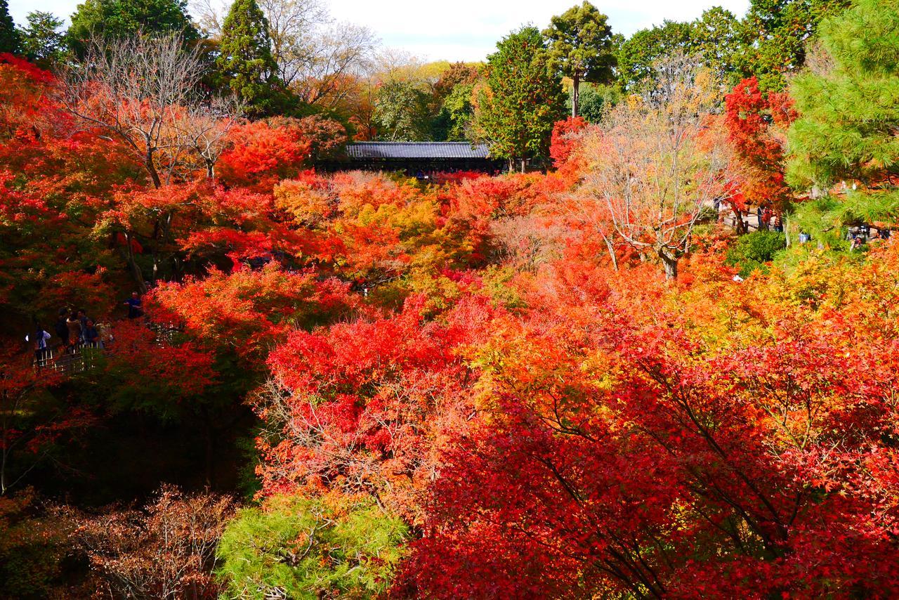 Japaning Hotel Libre Tofukuji เกียวโต ภายนอก รูปภาพ